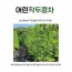 어린 작두콩차 200g
