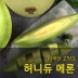 [수입과일] 미국산 고당도 허니듀 메론 11kg 5-6수