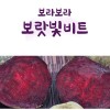 국산 생비트 5kg(특품/크기혼합)