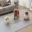 휴팡 PVC 단면 4T 사각형 강아지매트 미끄럼방지 슬개골보호 애견매트 소형 100 x 140cm