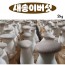 국내산 미니 새송이버섯 2kg (솎음용)