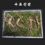 [수로산삼] 산양산삼 9~10년근 정삼 선물세트