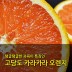 [수입과일] 호주산 고당도 카라카라오렌지 14-16과 3kg