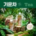 기운찬 차가, 상황, 영지버섯의 효능을 담은 건강음료 마시면 기운차 340ml*20병 기운찬버섯GMK