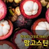 [수입과일] 현지맛 그대로 태국산 망고스틴 2.5kg 5망
