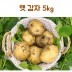 신선 감자 5kg(왕특)