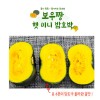 국산 미니 밤호박 1kg (특품)