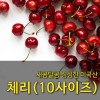 [수입과일] 싱싱한 미국산 체리 5kg (10사이즈)