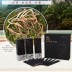 [청두루] 정선애(愛) 천룡산양삼 진 10g x 30포