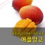 [수입과일] 당도가 높고 향이 뛰어나 맛있는 브라질 애플망고 8-10과 4kg