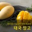 [수입과일] 부드럽고 달콤한 맛이 최고인 태국 골드 망고 4kg 8-12과