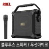 로엘 버스킹DJ 블루투스스피커 300W/무선마이크