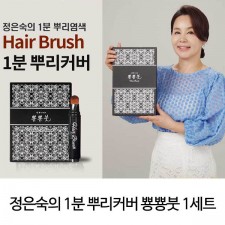 정은숙의 1분 뿌리커버 뿅뿅붓 1세트