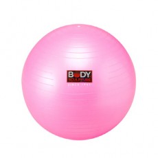[바디스컬쳐]다목적 멀티 짐볼-핑크 BB-001APK-26-BS(P)