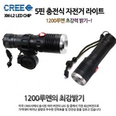 DH 탑코리아 대형(겸용)
