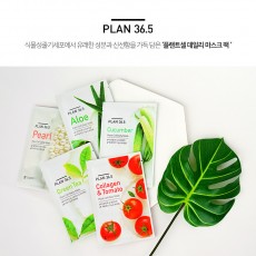 플랜36.5  마스크팩(10매)