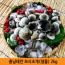 충남태안 모시조개[생물] 2kg