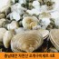 충남태안 자연산 조개구이세트4호