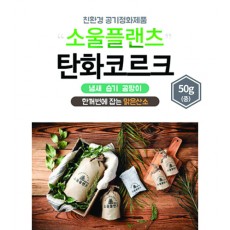 소울플랜츠 친환경공기정화주머니 50g(중)