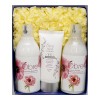 [오일리아] 오브레 아로마3종 SET(겐조플라워 향), SB0014