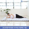 [한일생명과학]2019년형 북유럽풍 프리미엄 온열매트 더블