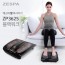 제스파 블랙워크 발마사지기 ZP3625