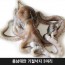 충남태안 기절낙지 3마리(대1마리,특대1마리,왕특대1마리)