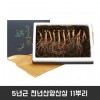 5년근 천년산양산삼 11뿌리