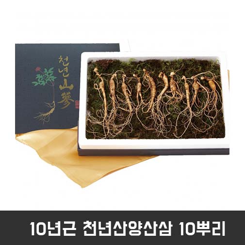 10년근 천년산양산삼 10뿌리