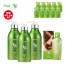 [TS샴푸] 트러스트 TS 샴푸 500ml×3개+TS 실크 케라틴 헤어 에센스 170ml+프리미엄 샴푸 6ml×10개