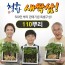 청유담 새싹삼 110뿌리