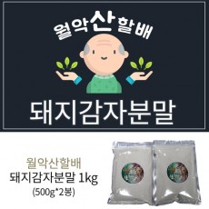 월악산 할배의 돼지감자 분말 2봉 (500g*2)