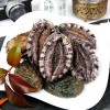 [산지직송]완도산 참전복(보자기선물포장) 1kg(7-8미)