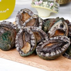 [산지직송]완도산 참전복 1kg(18-20미)