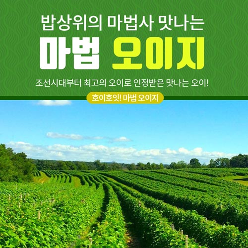 3천년 마법오이지 2봉 (2k이상)