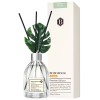 보보룸 ASEM 가정용 디퓨저 170ml 세트
