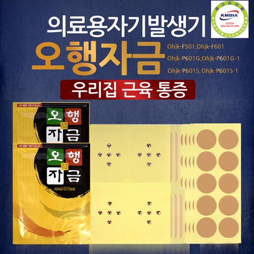 오행자금 의료용자기발생기