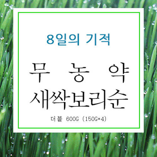 8일 새싹보리순 더블 600g(150g*4)