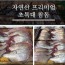 자연산 프리미엄 초특대 참돔