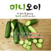 숏오이 미니오이 1박스 22과 내외 1.5kg