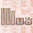 바이 파미셀 랩 럭셔리 5종