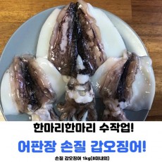 어판장 손질 갑오징어 1kg(8미내외)