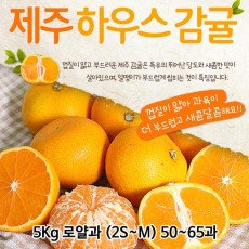 제주도 하우스감귤 5Kg 로얄과 (2S~M) 50~65과