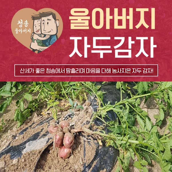 울아버지 홍감자 1박스 5k 특 / 7월4일 출고예정