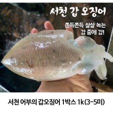 서천 어부의 갑오징어 1박스 1k(3-5미)
