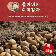 울아버지 수미 감자 수미 특5k