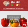 울아버지 이색 파프리카 5k(25과내외)