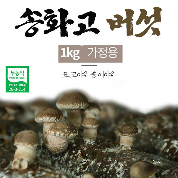버섯돌이 송화 버섯 실속형가정용1kg
