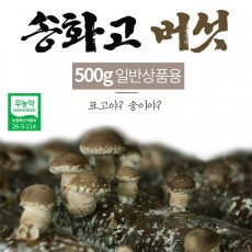 버섯돌이 송화 버섯 일반상품 500g