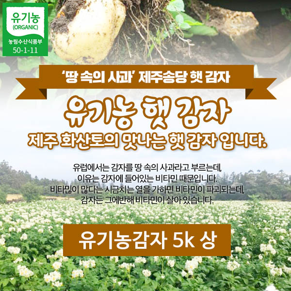 제주 유기농감자 5k 상